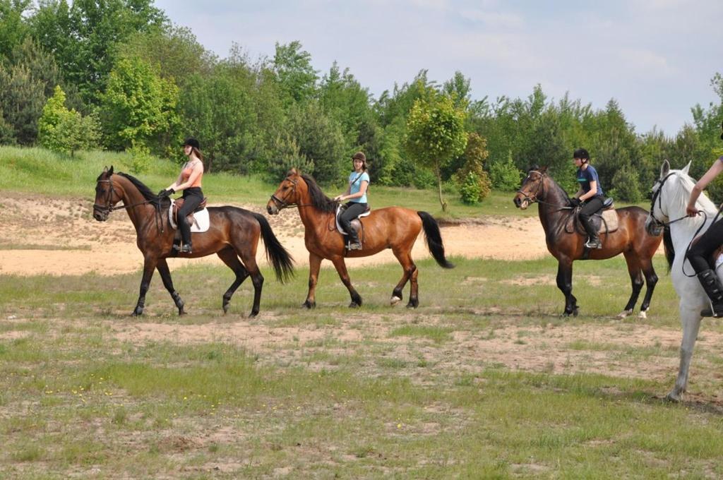 Stajnia Pod Debem Bed & Breakfast Starachowice Eksteriør bilde
