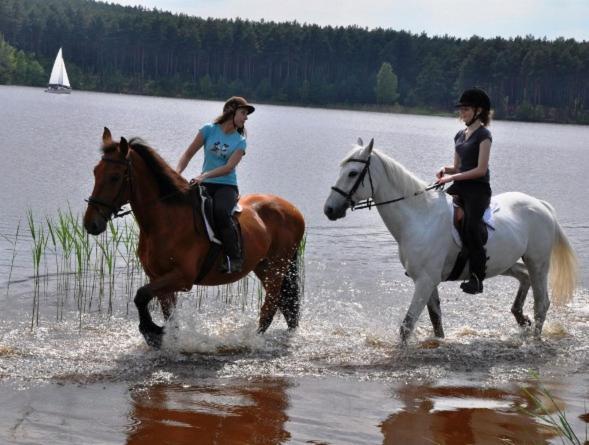 Stajnia Pod Debem Bed & Breakfast Starachowice Eksteriør bilde